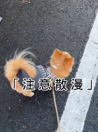 「あっちもこっちも見てみたい」