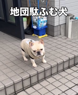 すでに顔が不機嫌