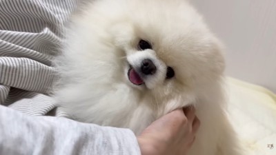 幸せそう♡