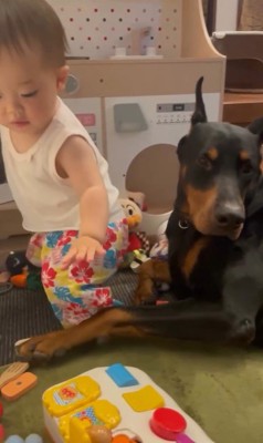 テンくんとニルくんの違い2