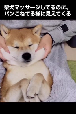 真四角顔を作る秘訣!?