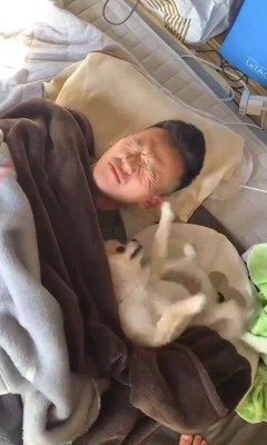 顔をしかめる飼い主