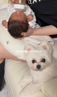 ベポちゃんと赤ちゃん⑩