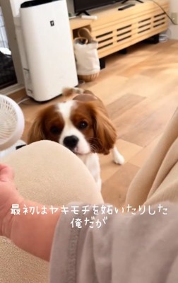 ヤキモチをやくボーロくん