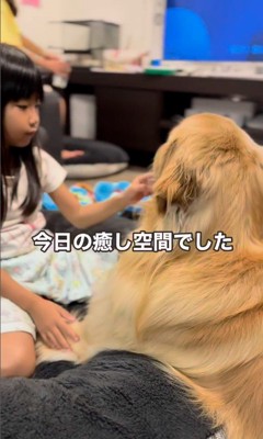女の子とシンバくんのやり取り⑩