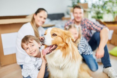 家族と犬