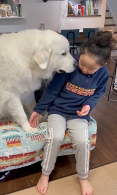 サンちゃんと女の子のやり取り4