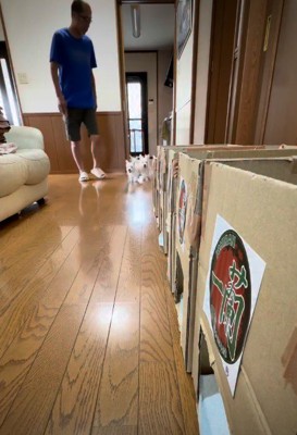 大騒ぎな子犬たちの食事