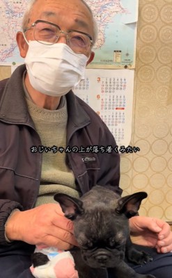 眠ったぶーちゃん