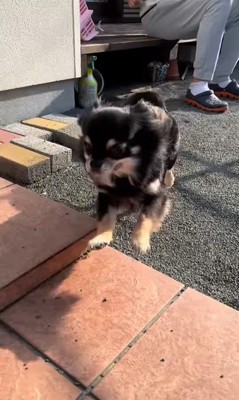 まる君とお姉ちゃんの再会9