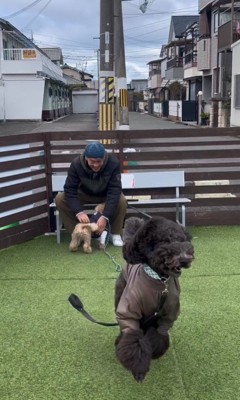 ボンドくん＆アルくんとお父さんの再会8