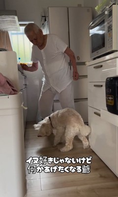 ワンコとおじいちゃんの日常4