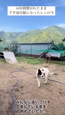 ワンプロに入れない…