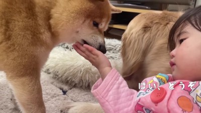 「はい、どーぞ」