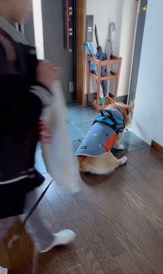 玄関にお姉ちゃんが来る