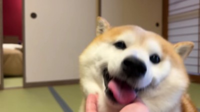 幸せいっぱいだね♡