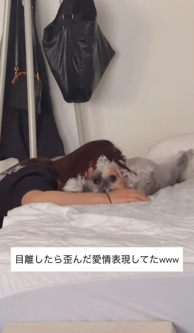 仰向けになった犬の腹に顔を埋める女性