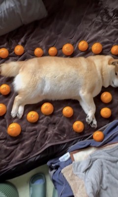 シュールな空間が