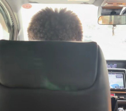 男性が座っている？