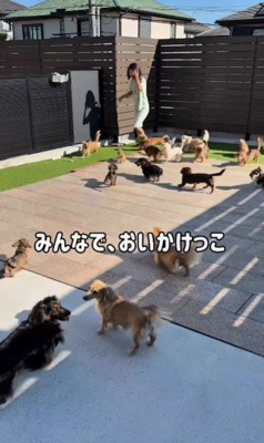 一緒に追いかけっこ♪