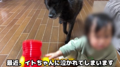 なぜか泣かれちゃう…