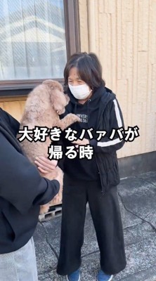 女性に抱っこされながらおばあちゃんを見つめる犬