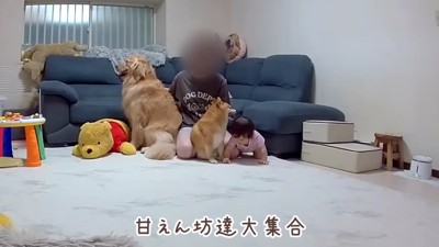 3兄妹の日常のワンシーン