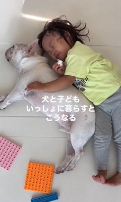 一緒にゴロゴロ♪