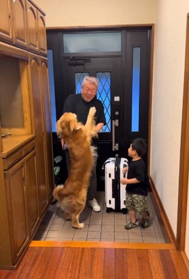 お父さんに飛びつくマッシュくん