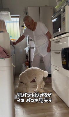 ワンコとおじいちゃんの日常5