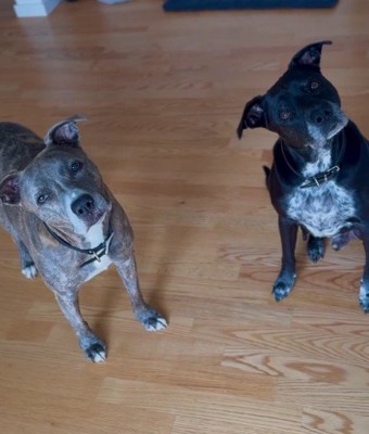 本当の兄弟みたい！！