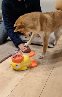 オヤツが出るおもちゃで遊ぶすずちゃん6