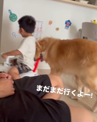 犬におもちゃの車を押してもらって、楽しそうな声をあげる男の子