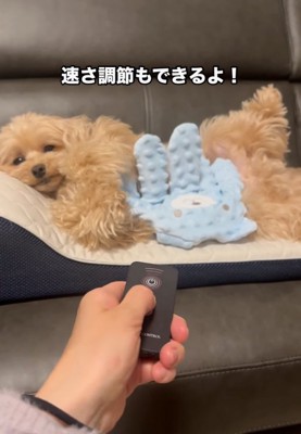 リズムスピードが上がる