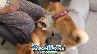 「やめろ~」と必死に抵抗