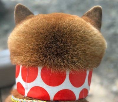 ずっと見ていたい…♡