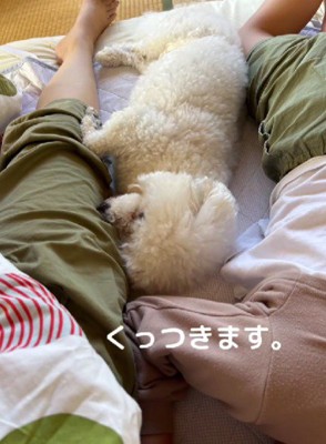 こっそりくっつく♡