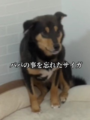 「おまえだれ…？」