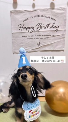 1歳を迎えることができました