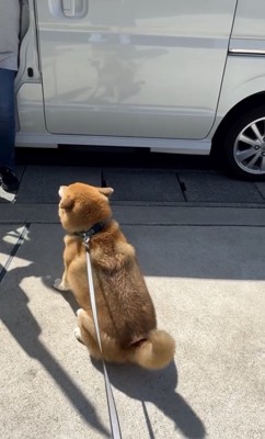 みんな幸せ大歓迎