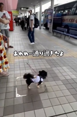 まさかのスルー