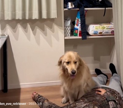 笑顔のイヴちゃん