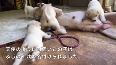 みんなに支えられて…