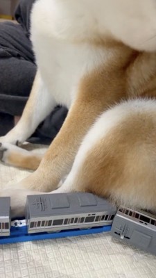 レールの取り合いです