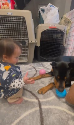 テンくんとニルくんと女の子の成長記録5