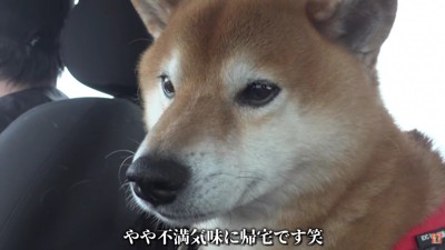 「やっぱり許せない…」