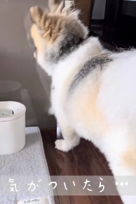 気が付いたら…