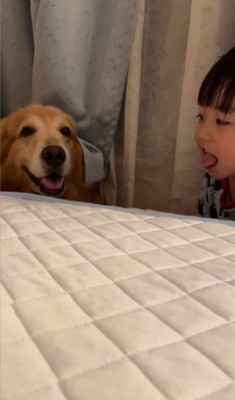 マックスくん＆ロイくんと育った男の子6