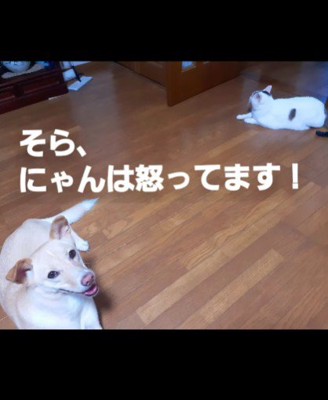 今日は失敗かな！？
