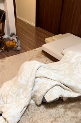 戸惑うピーターくん